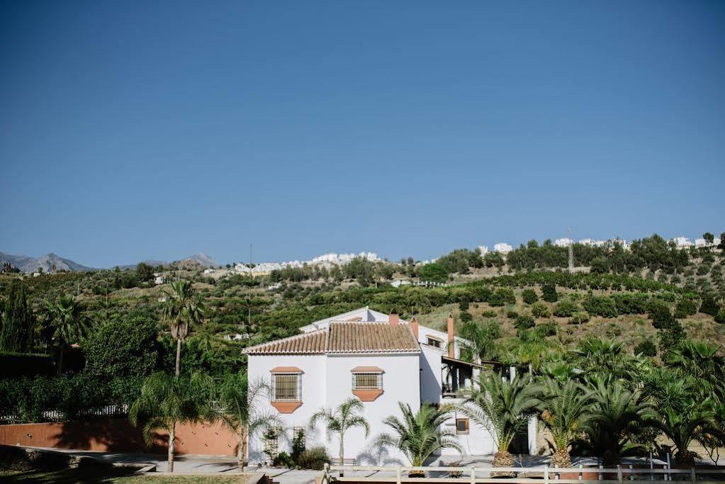 La Perla De Frigiliana Bed & Breakfast Deluxe Ngoại thất bức ảnh